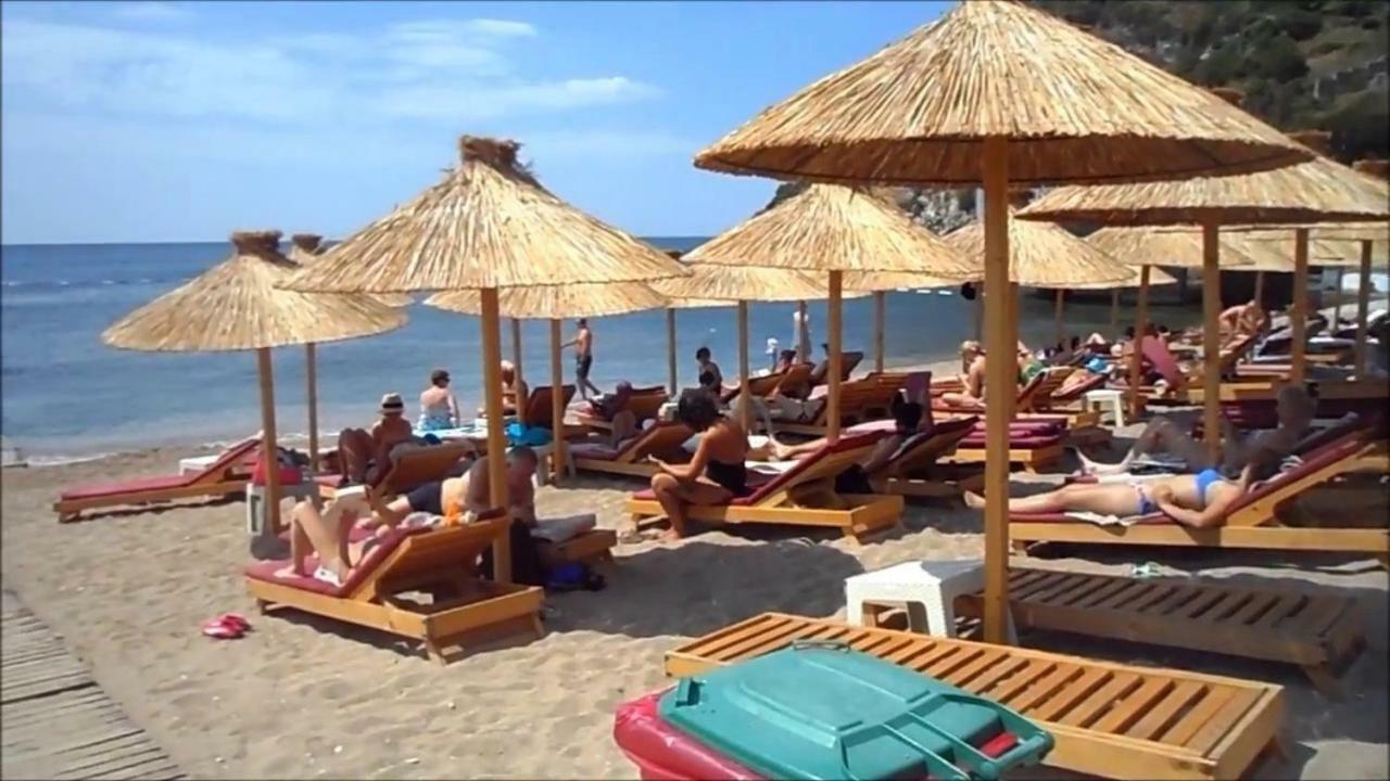 C15 Budva